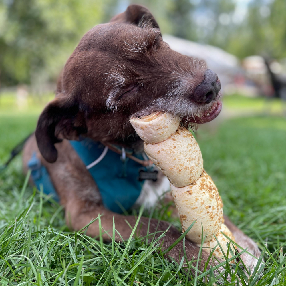 BluZone Pets bully stick vs rawhide comparison — rawhide-free natural dog chews